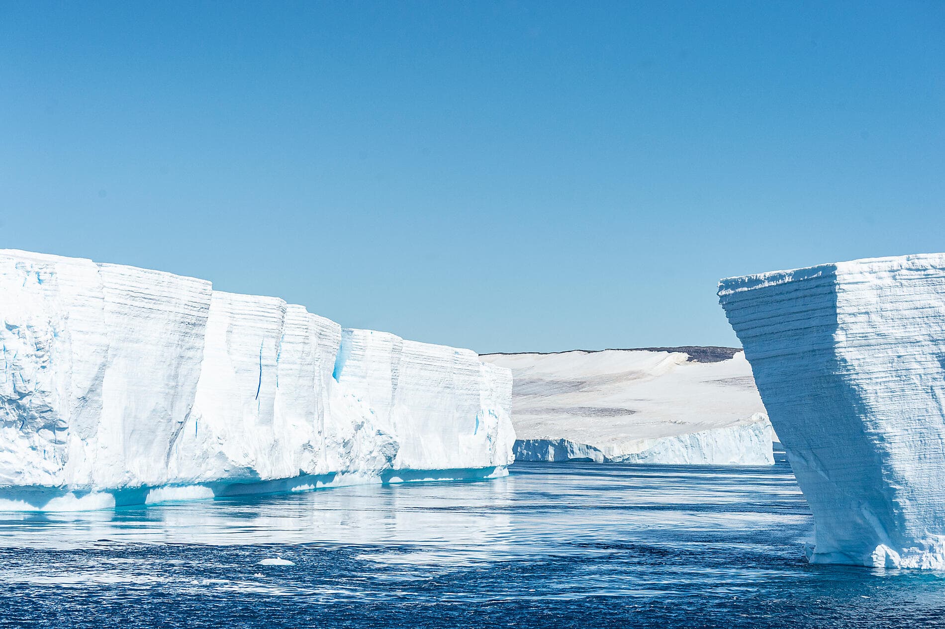 L’Antarctique emblématique  