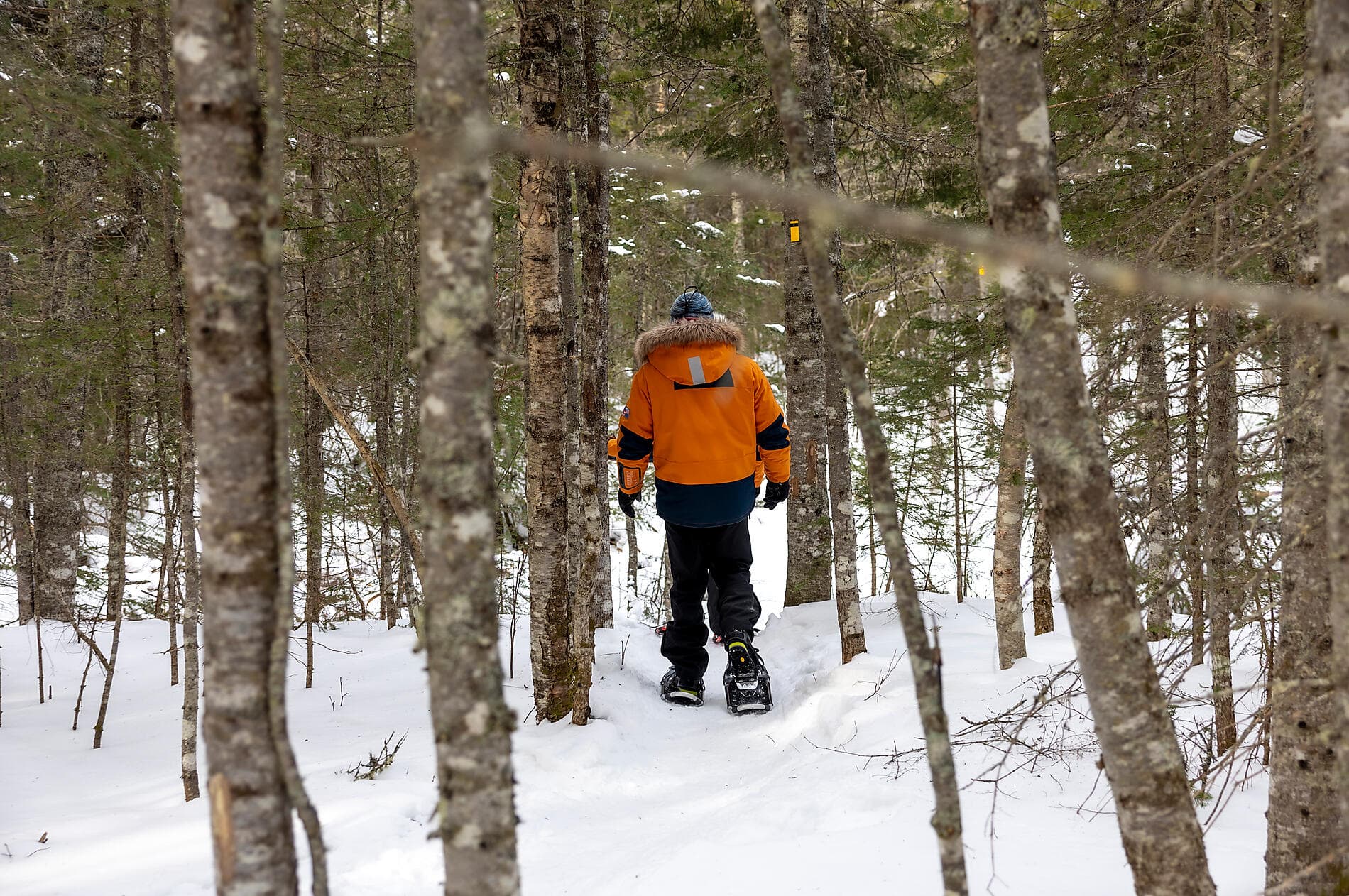 Derniers instants d’hiver, du Saint-Laurent au Groenland   