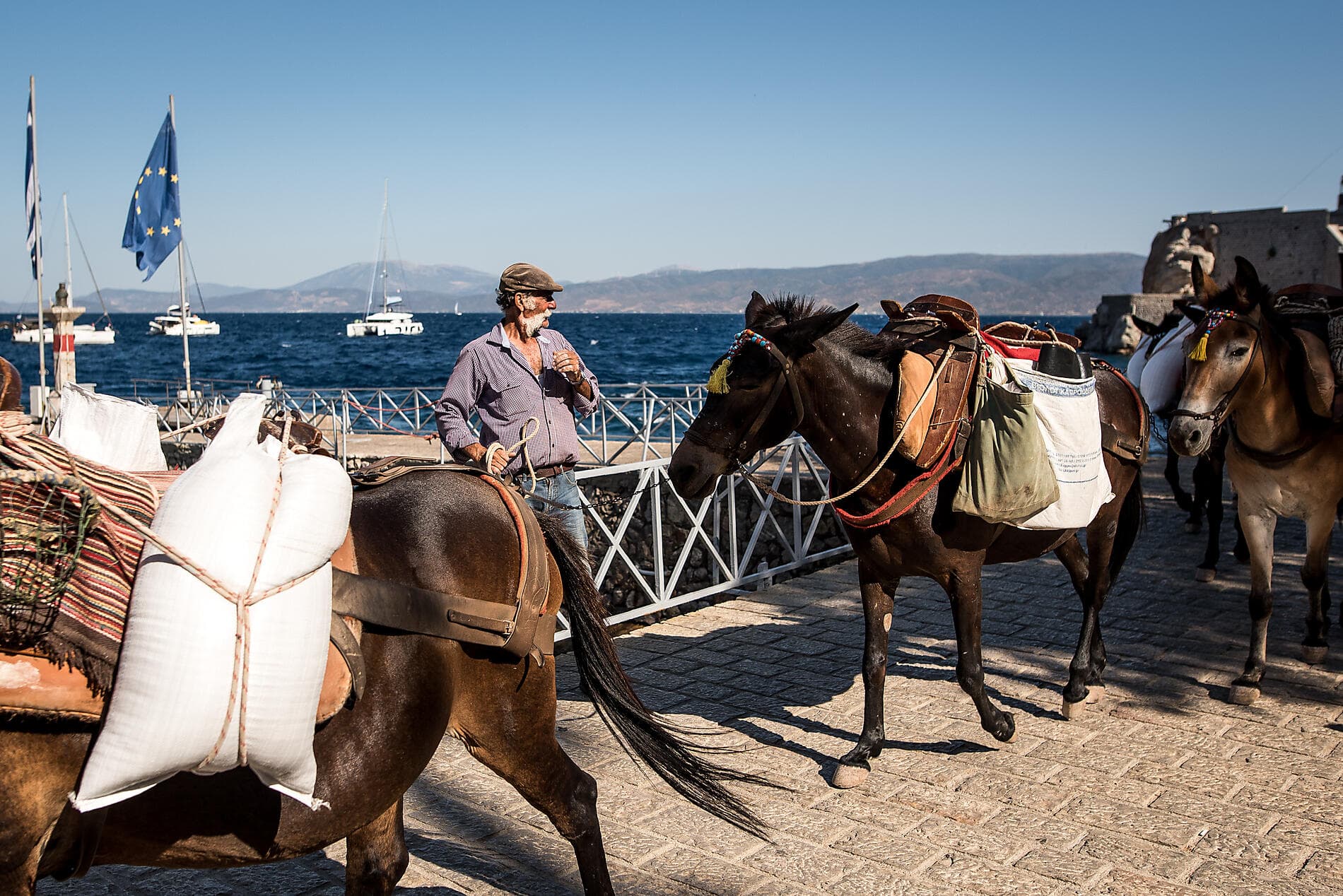 Esprit et papilles en éveil avec le Mucem en Méditerranée 
