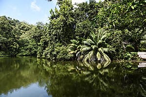Découverte de Portobelo