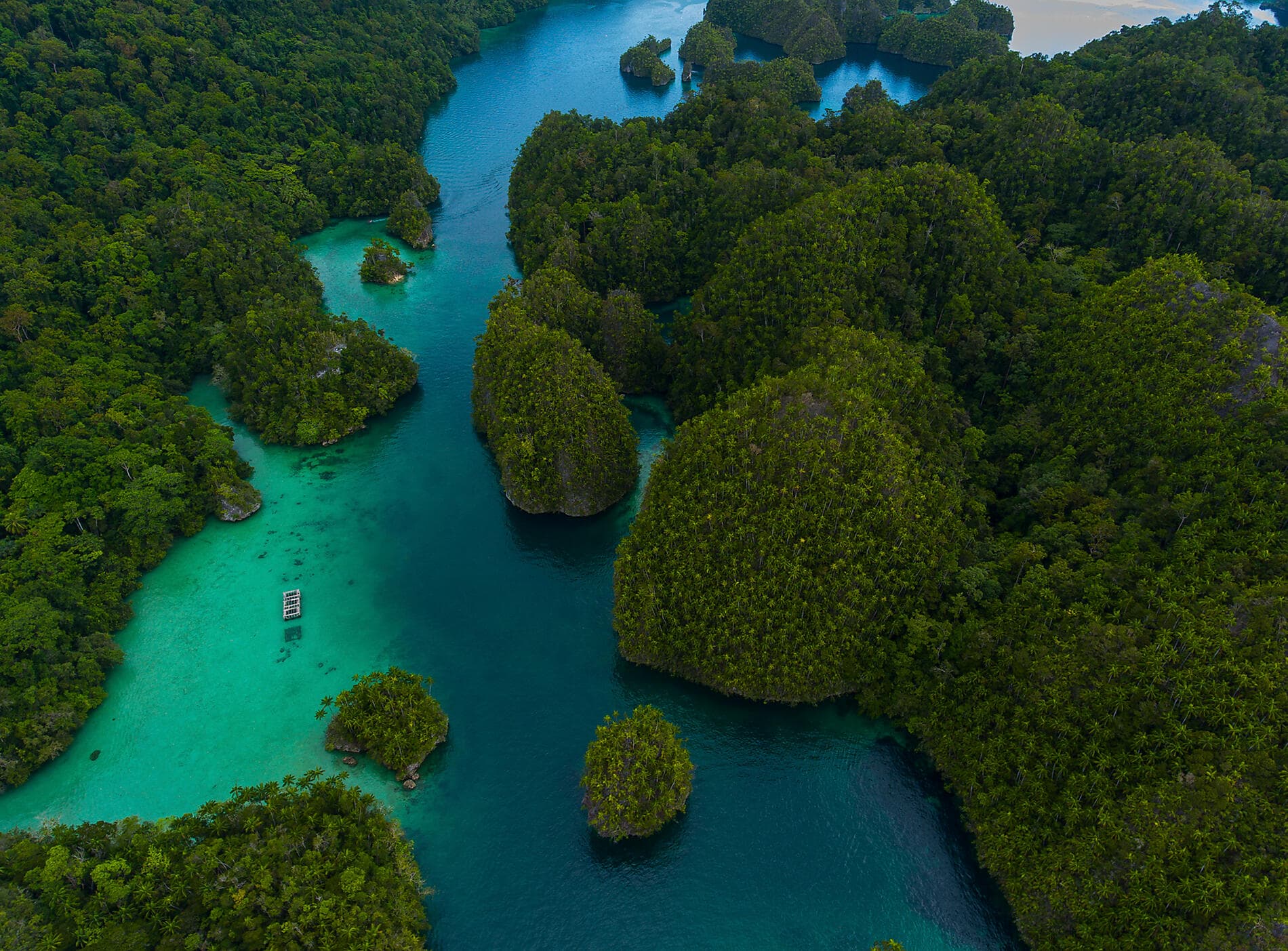 Odyssée tropicale entre nord-est australien et Indonésie 
