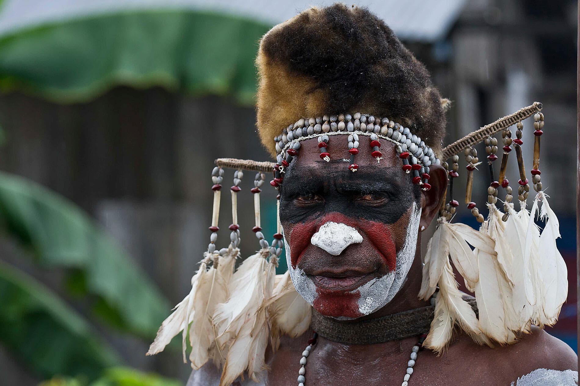 Odyssée tropicale entre nord-est australien et Indonésie 