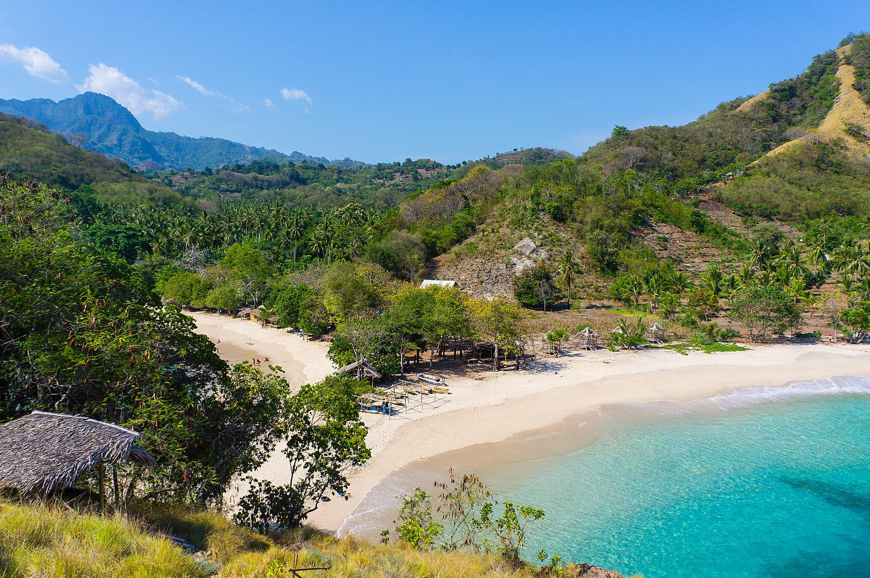 Trésors insulaires d'Indonésie et du Timor Oriental 