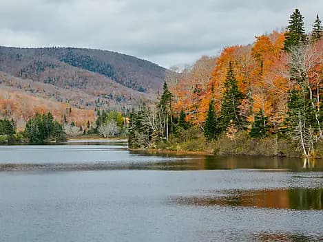 26 Févr 27 - Exploration du fleuve Saint-Laurent