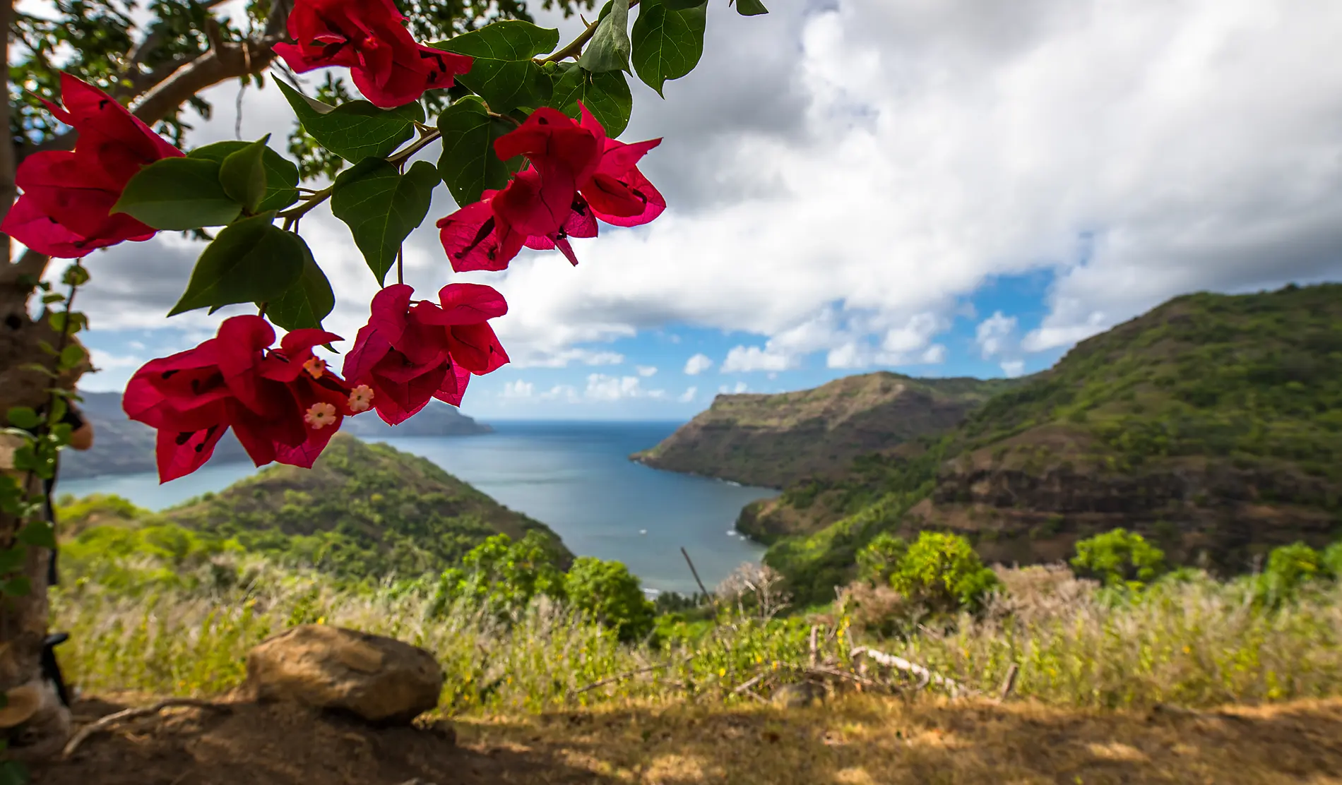 Douceur polynésienne : Marquises, Tuamotu et îles de la Société 