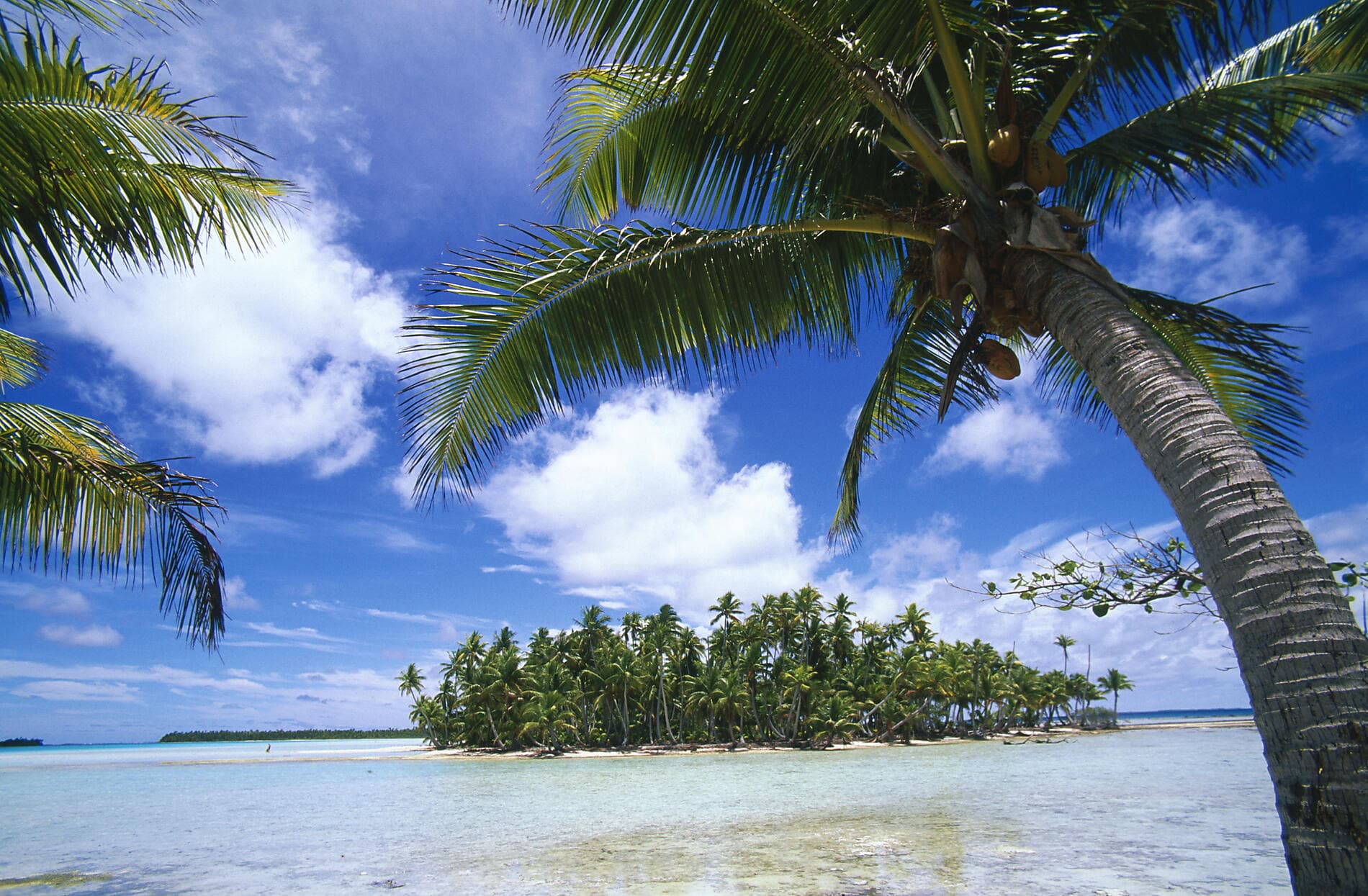 Polynésie française et île Pitcairn  