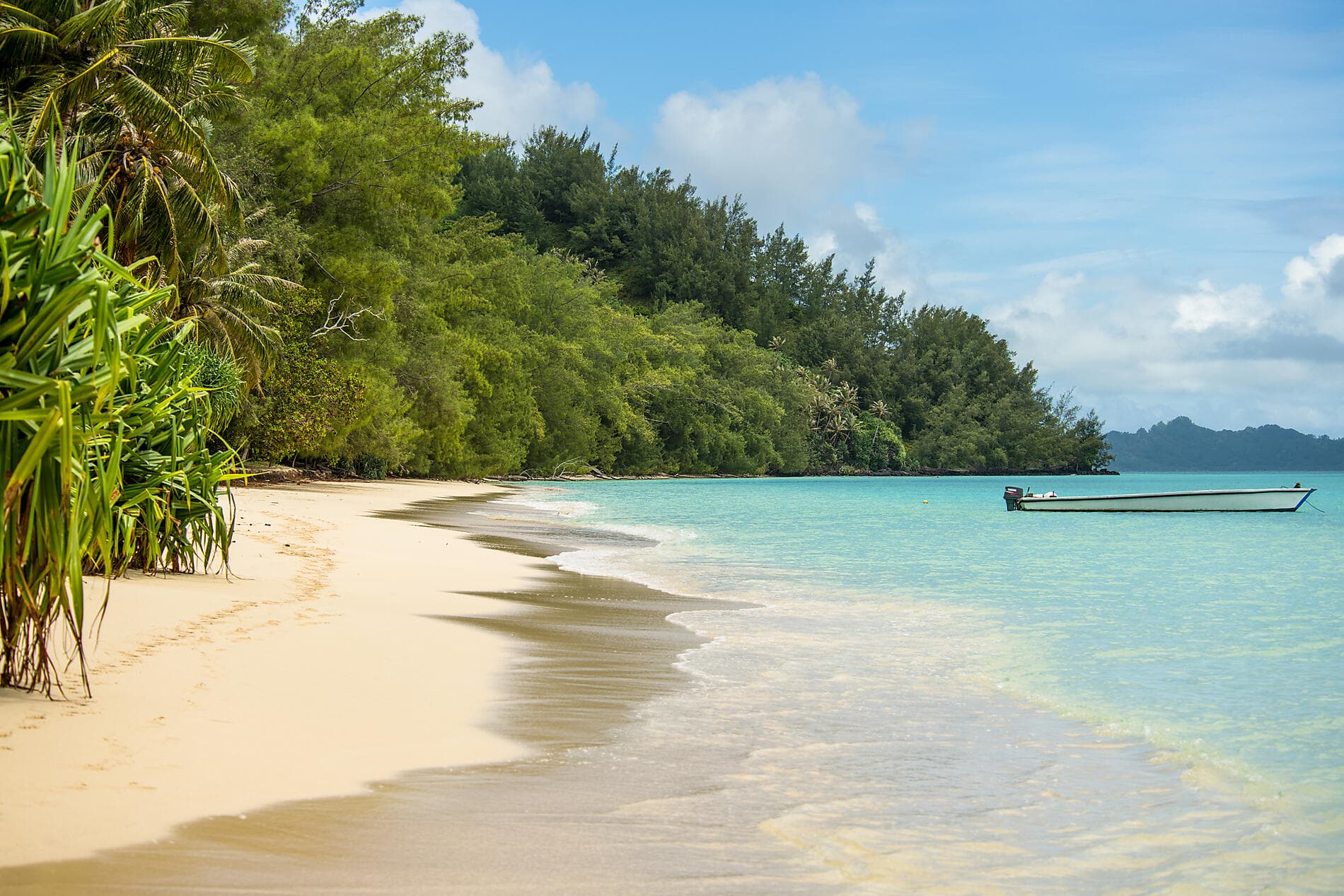 Polynésie française et île Pitcairn  
