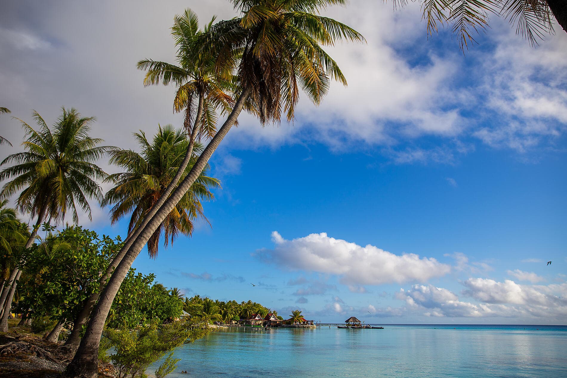 Polynésie secrète : des îles de la Société aux îles Australes  