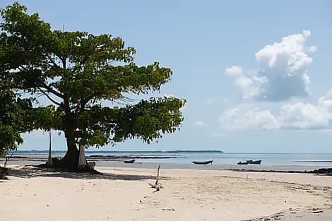 24 Nov 26 - Île Joao Vieira, Bijagos