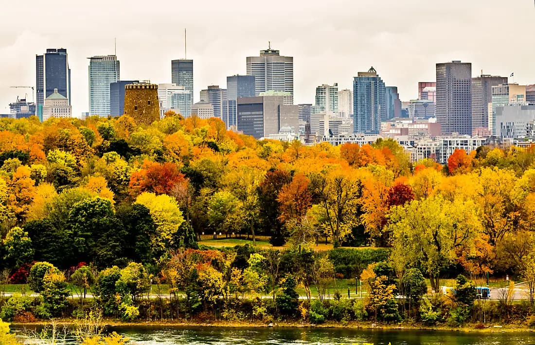 À LA DECOUVERTE D'UNE CABANE À SUCRE ET TOUR DE MONTRÉAL