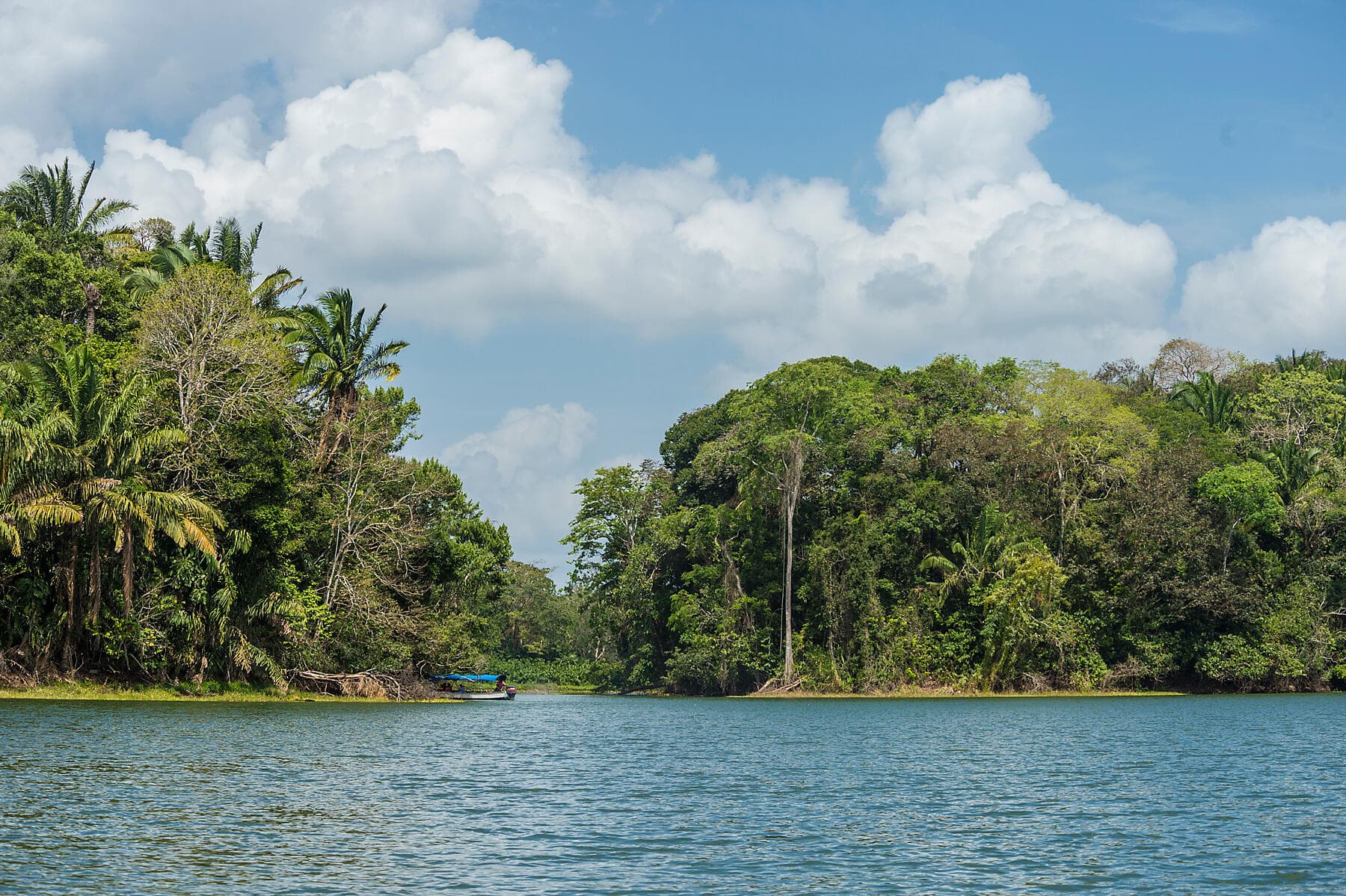 De la beauté sauvage du Panama aux rivages péruviens 