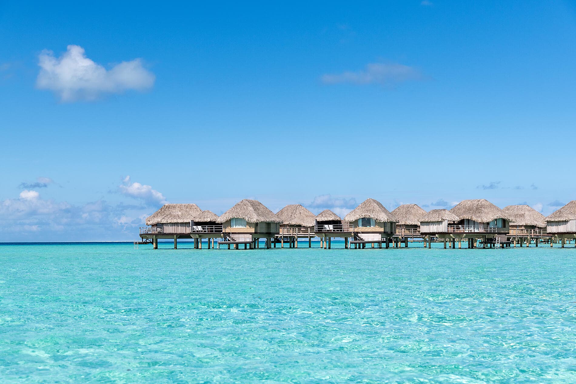 Perles des îles de la Société