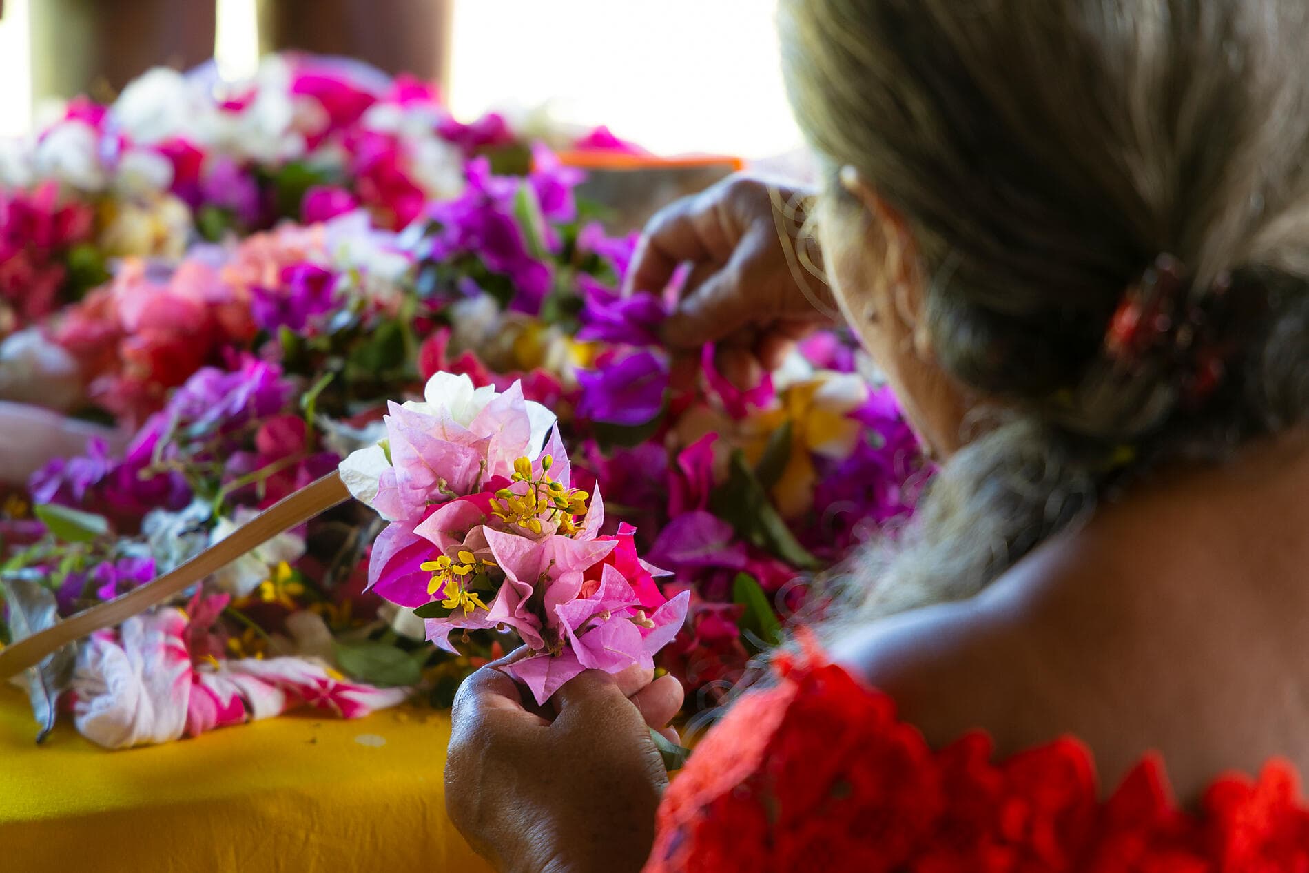 Marquises, Tuamotu et îles de la Société