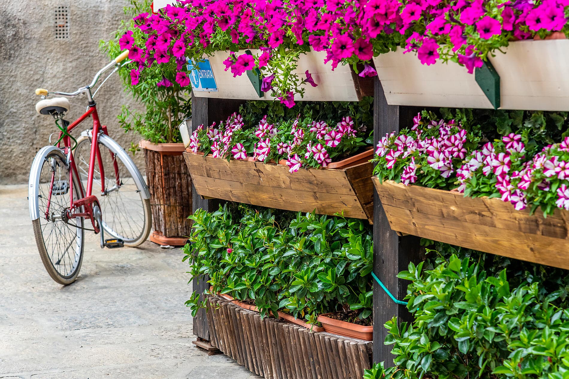 Joyaux discrets de Méditerranée occidentale 