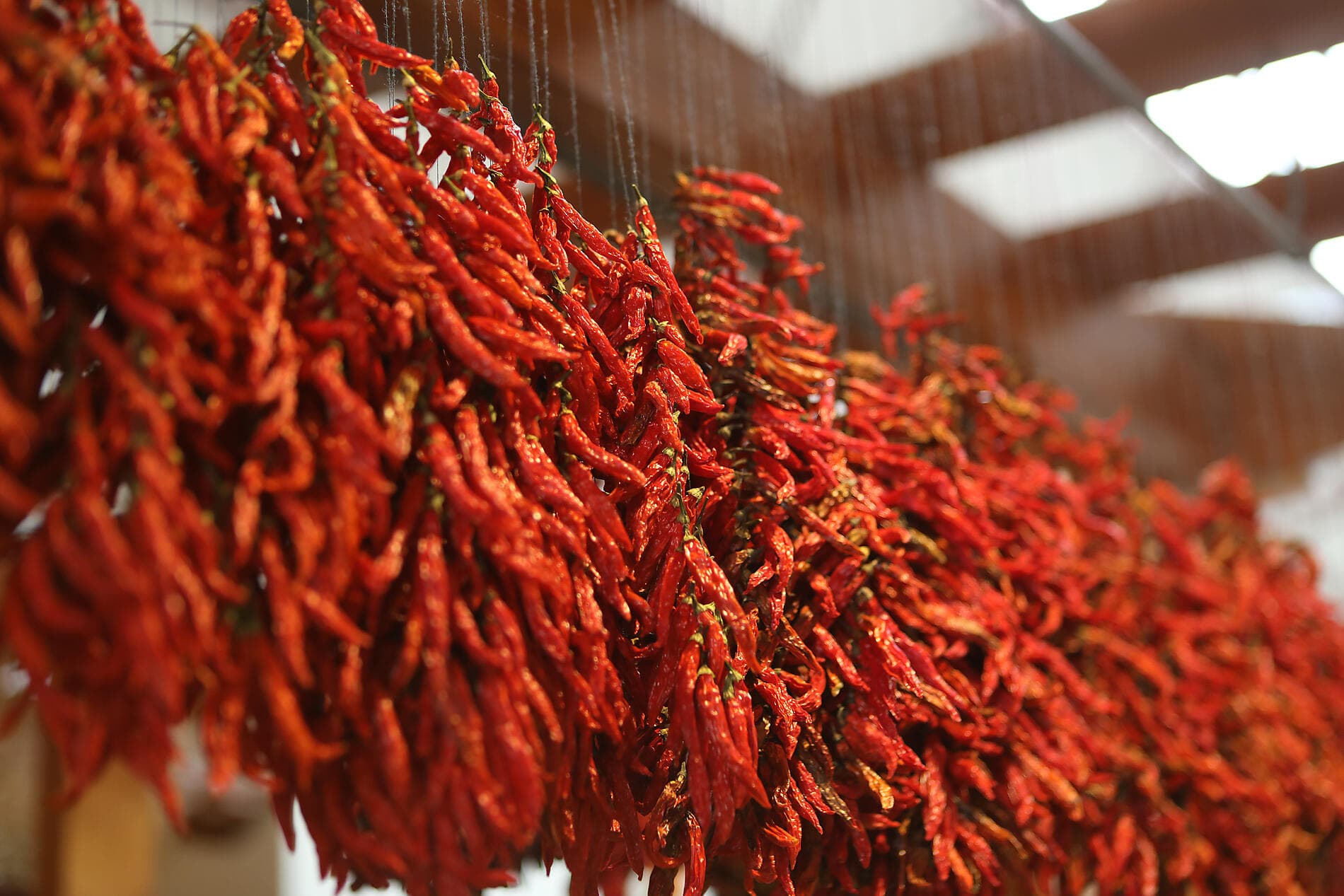 Îles volcaniques et cités historiques de l’Atlantique Nord 