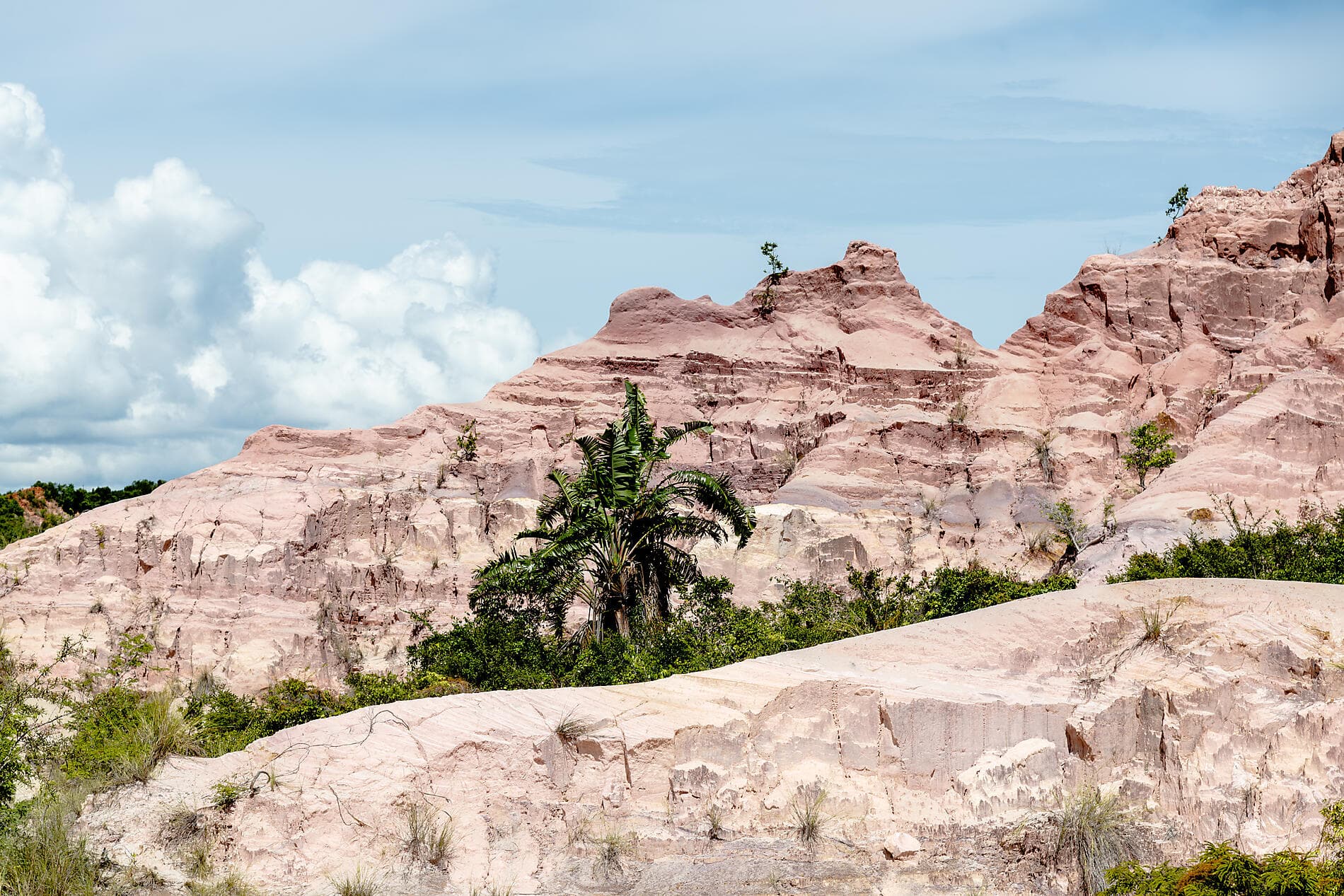 Afrique du Sud et Madagascar 