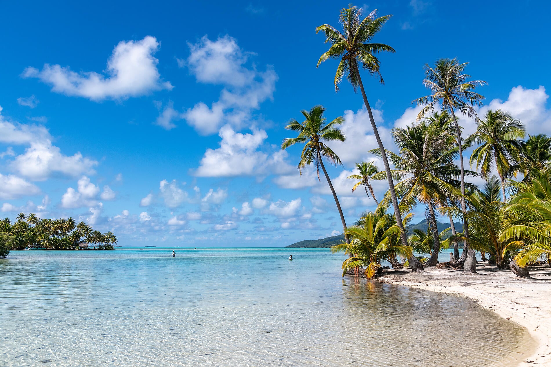 Marquises, Tuamotu et îles de la Société Marquises, Tuamotu et îles de la Société