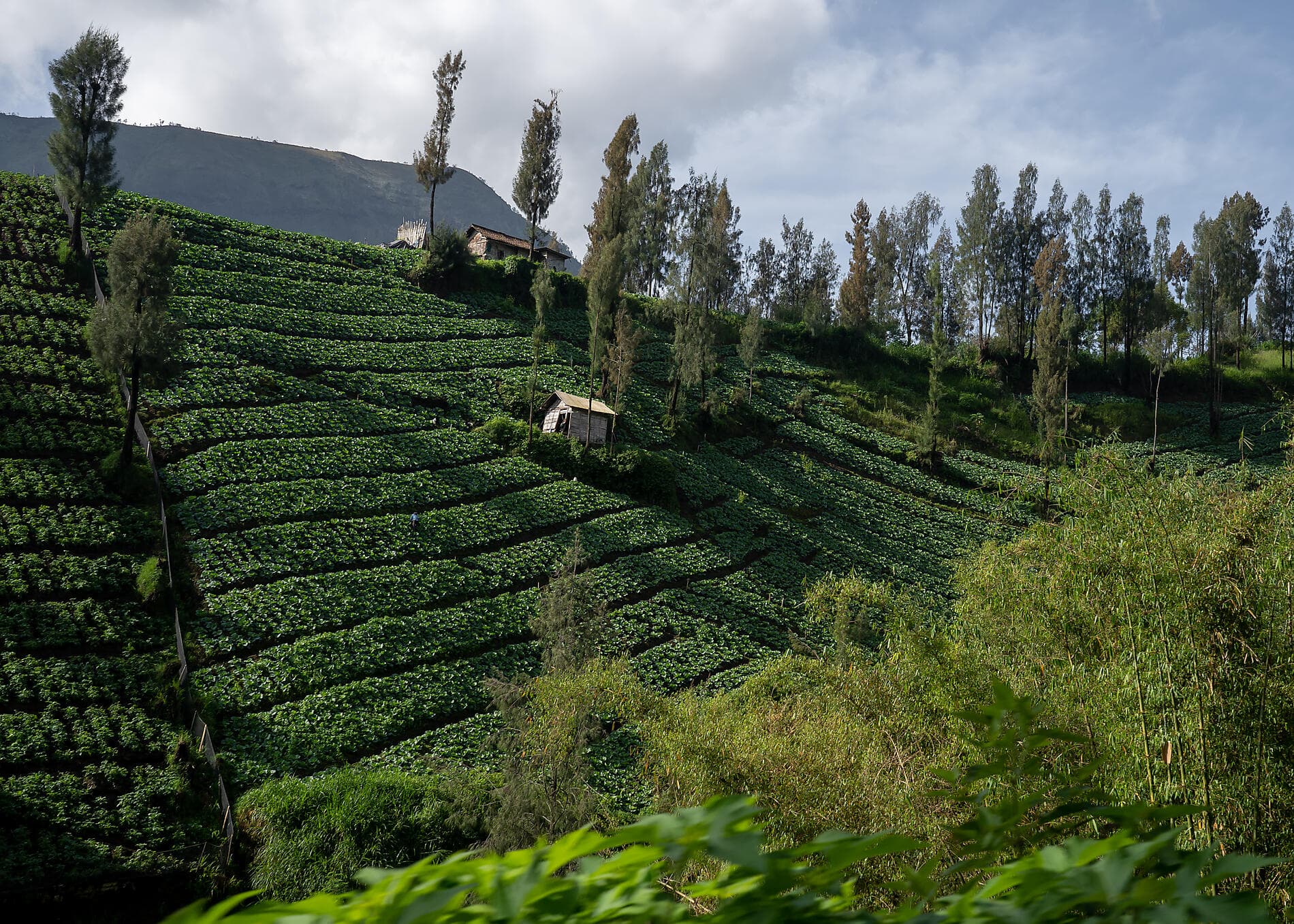 Îles, villes et volcans d’Indonésie
